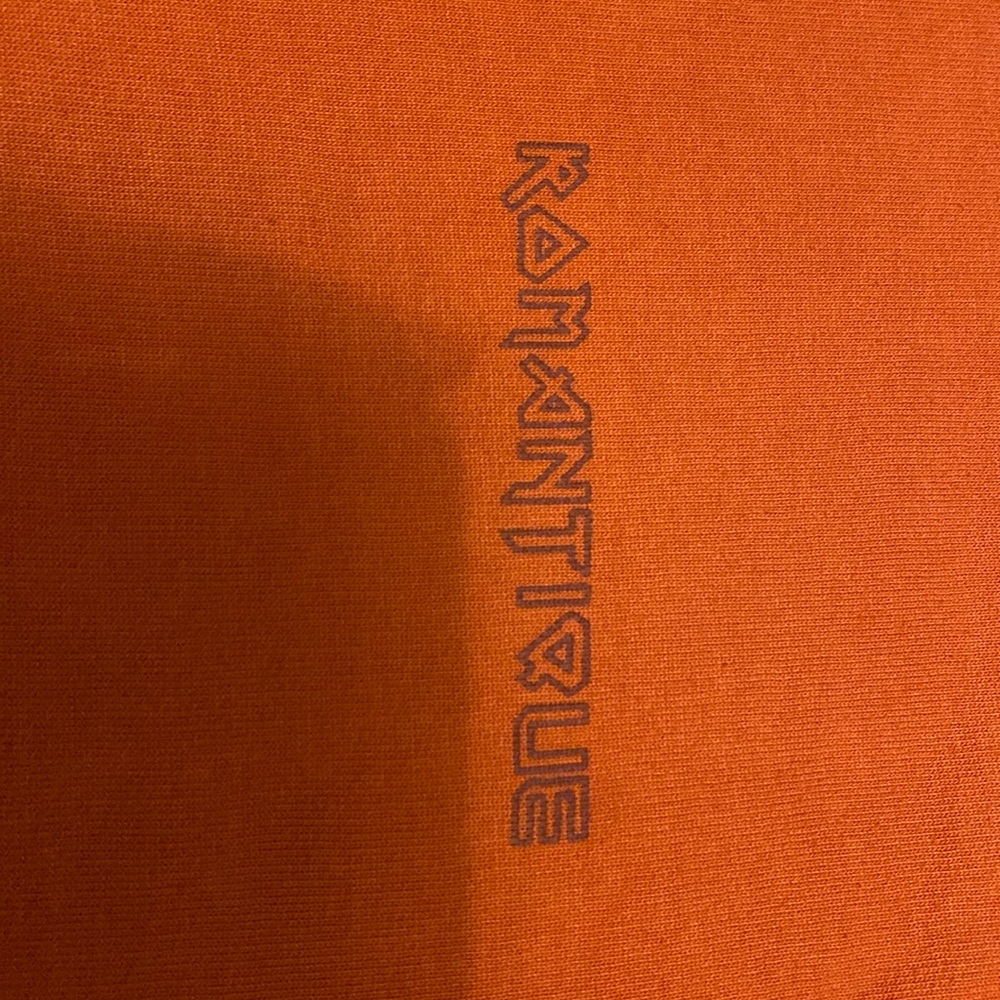 A vintage dark orange hoodie with text, brand is “WINWIN”, size (large)
